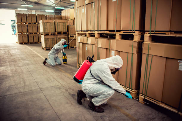 Best Emergency Pest Control  in Inkster, MI