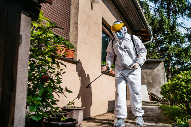 Best Termite Control Services  in Inkster, MI