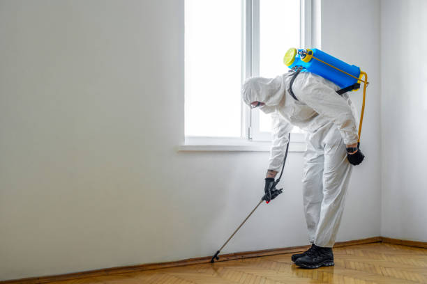 Best Pest Removal Services  in Inkster, MI