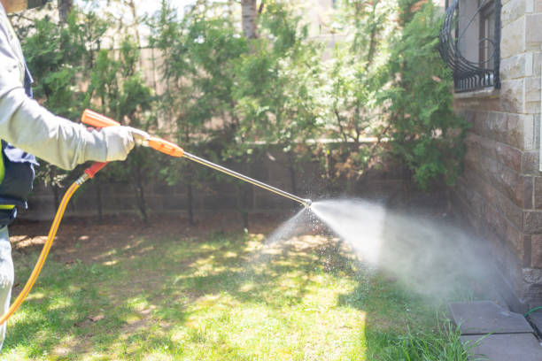 Best Exterminator Services  in Inkster, MI