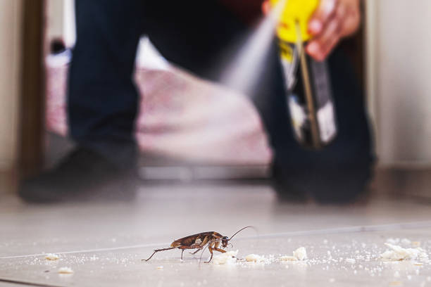Best Wasp Removal Services  in Inkster, MI