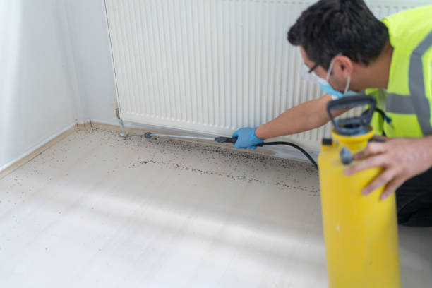Best Mosquito Control Services  in Inkster, MI