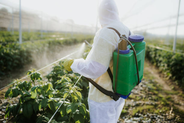 Best Residential Pest Control  in Inkster, MI